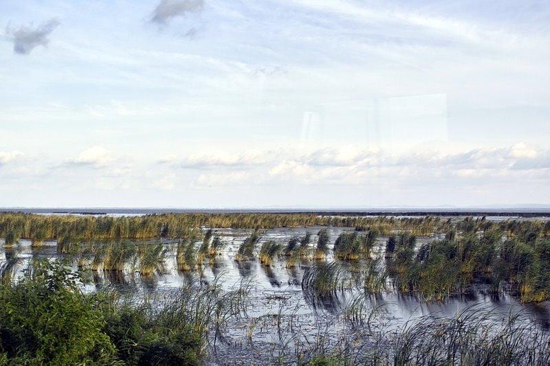 Нова Некрасівка з panoramio.com - Новая Некрасовка