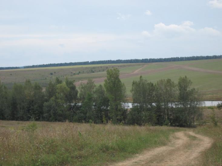 Галузинці з panoramio.com - Galuzyntsi