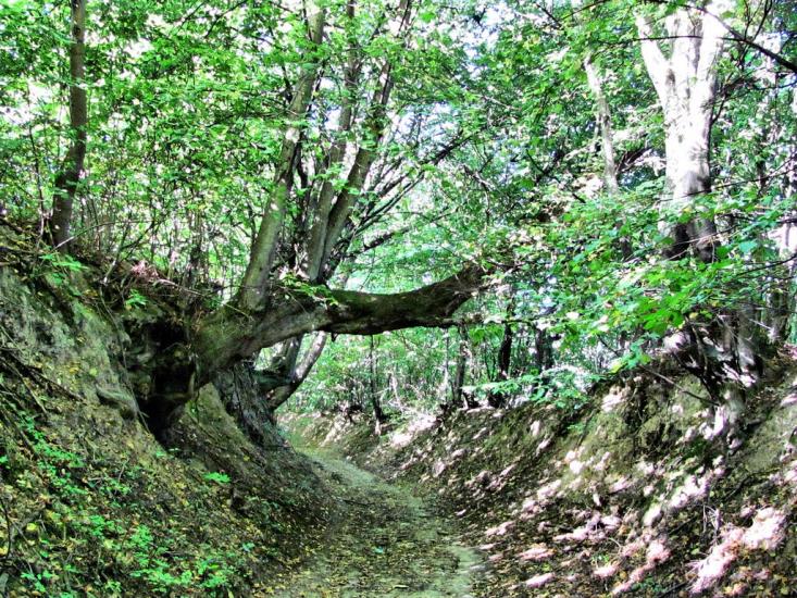 Калагарівка з panoramio.com - Калагаровка