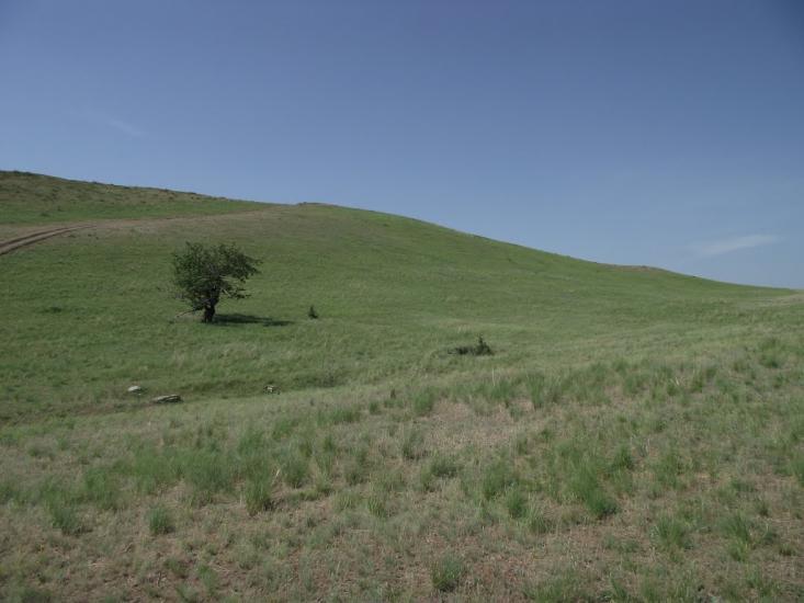Черемшине з panoramio.com - Черемшино