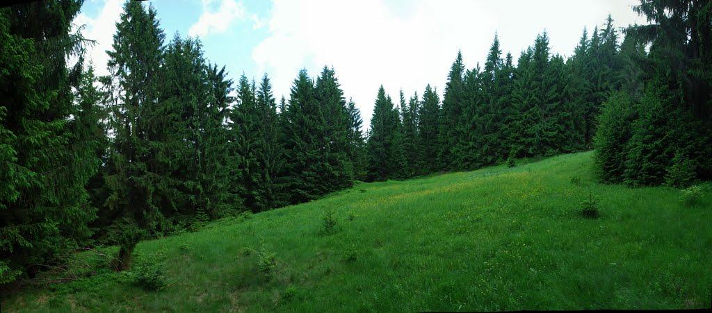 Потік з panoramio.com - Поток