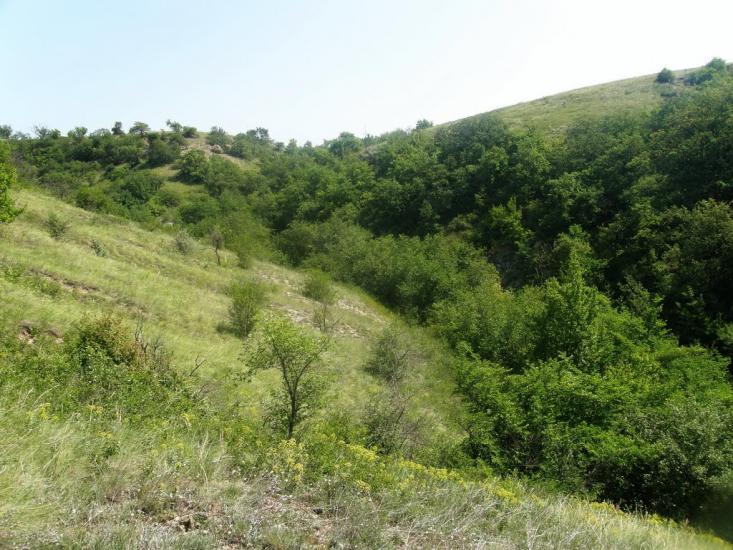Біле з panoramio.com - Белое