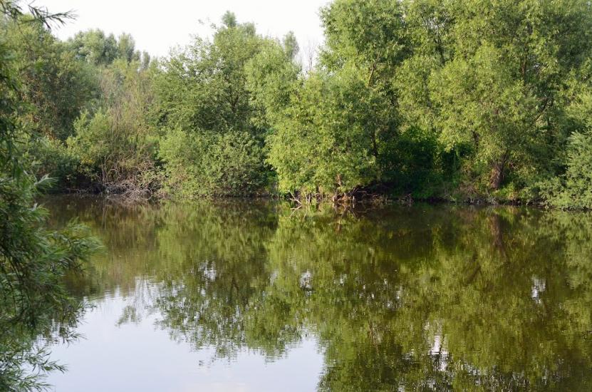 Біла з panoramio.com - Біла