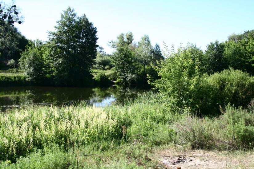 Мохнач з panoramio.com - Мохнач
