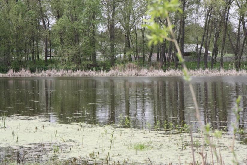 Гмирянка з panoramio.com - Гмырянка