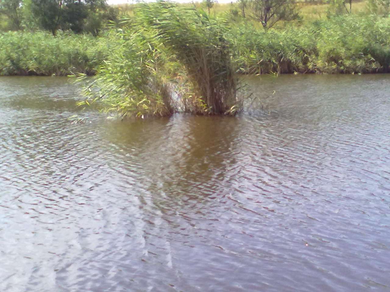 природа села - Благовіщенка