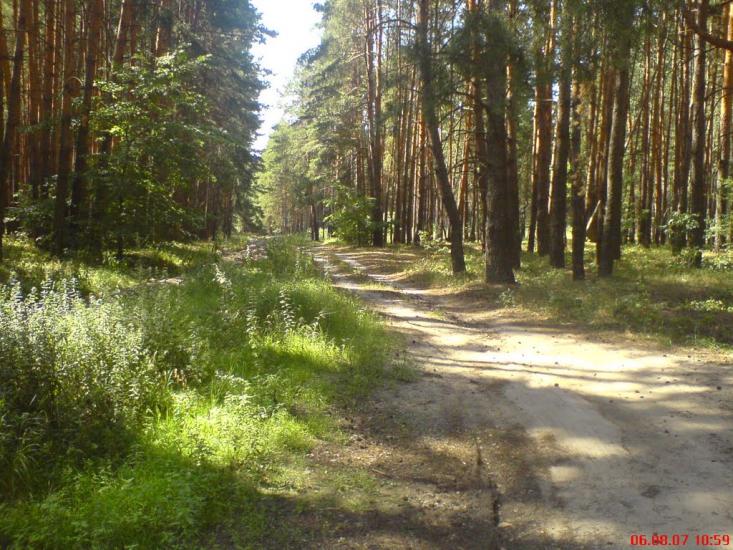 Борова з panoramio.com - Борова