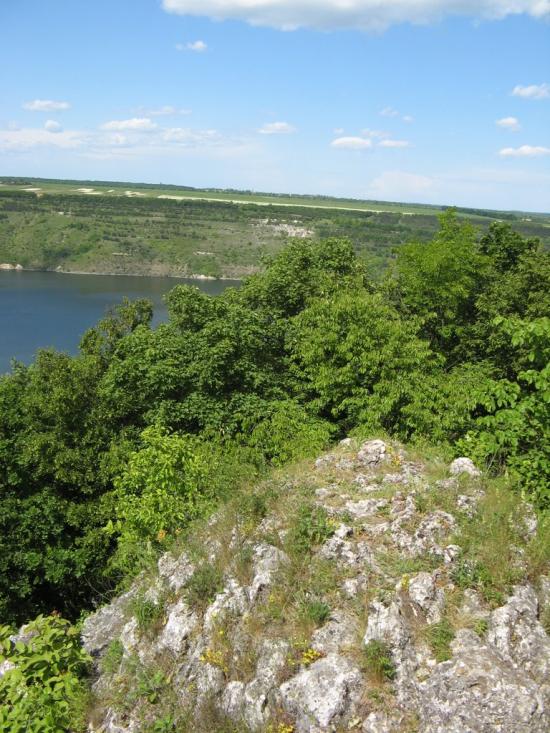 Гораївка з panoramio.com - Гораевка