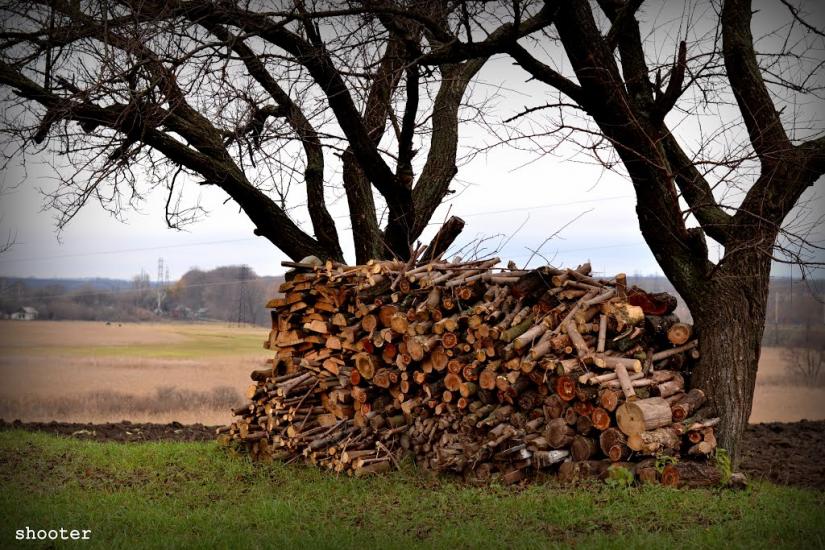 Абазівка з panoramio.com - Абазовка