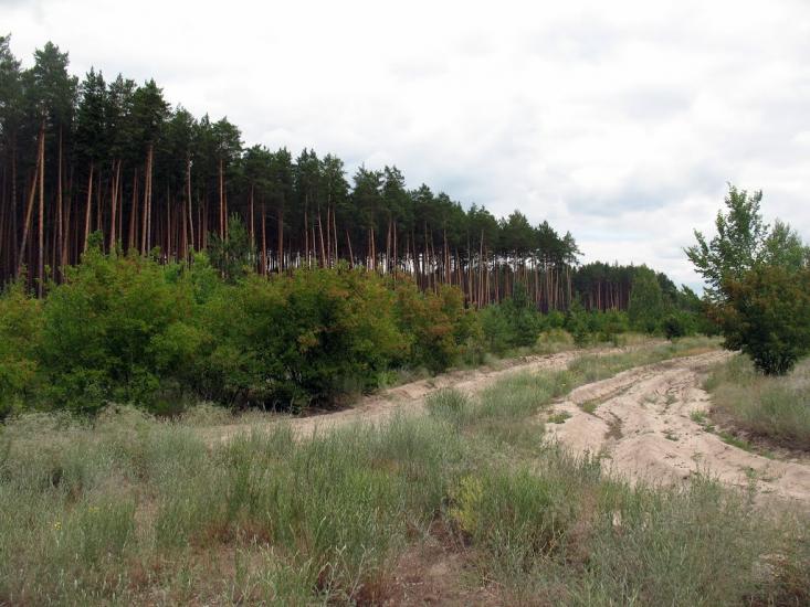 Синичине з panoramio.com - Синичине