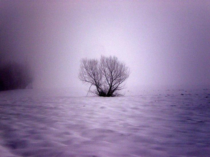 Радецька Болярка з panoramio.com - Радецька Болярка