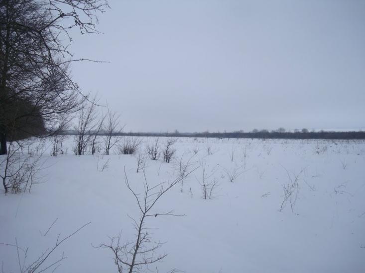 Літки з panoramio.com - Летки