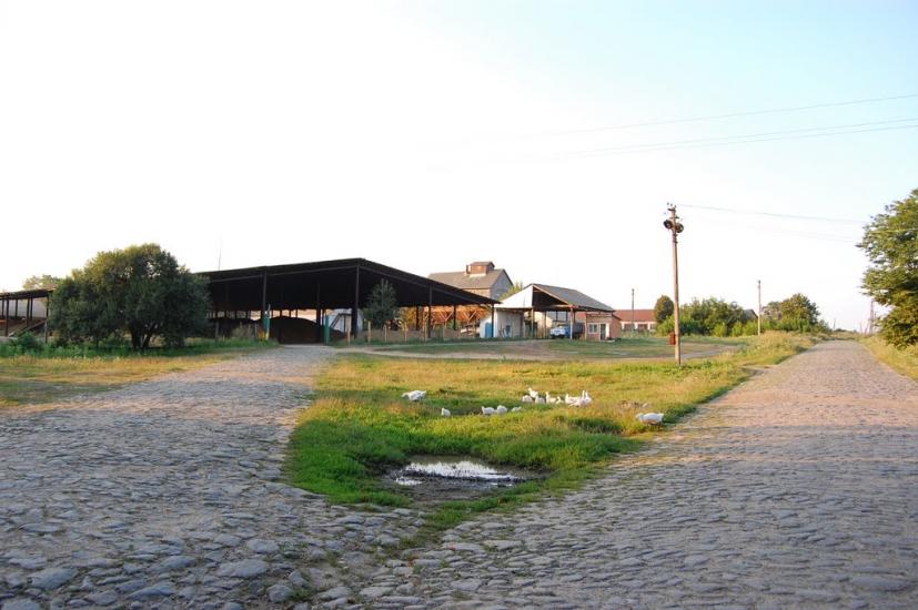 Кущинці з panoramio.com - Кущинці