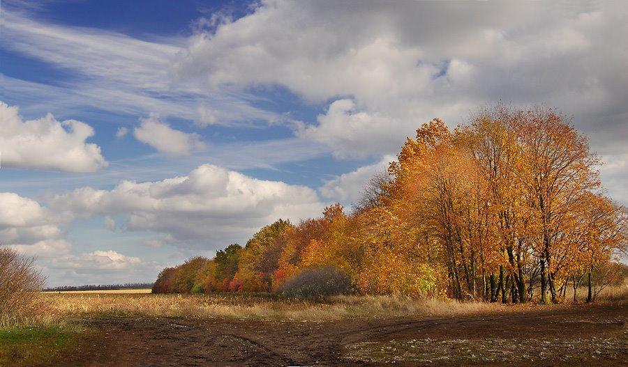 Петропавлівка з panoramio.com - Петропавлівка