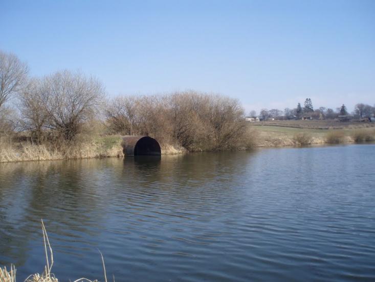 Рогізне з panoramio.com - Рогозное