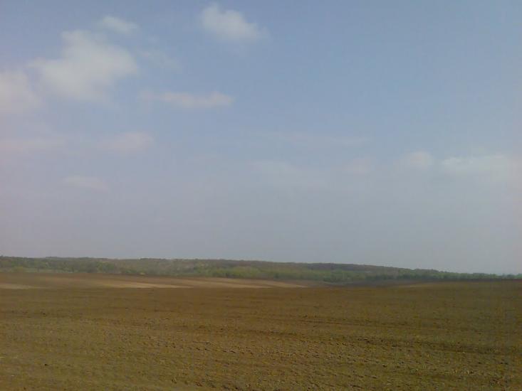 Пашківці з panoramio.com - Пашковцы