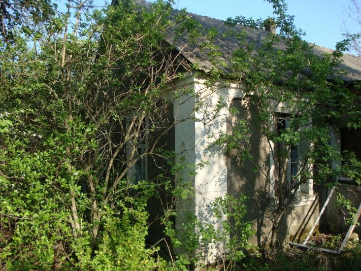 Дацьки з panoramio.com - Datsky