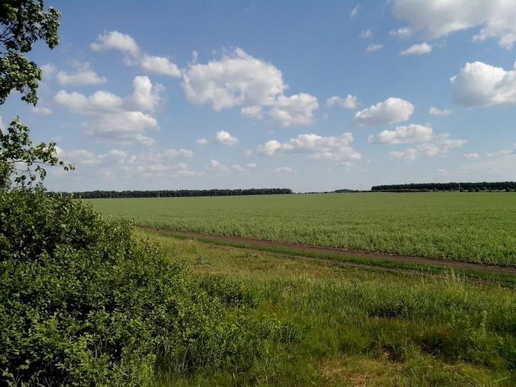 Єлизаветівка з panoramio.com - Єлизаветівка