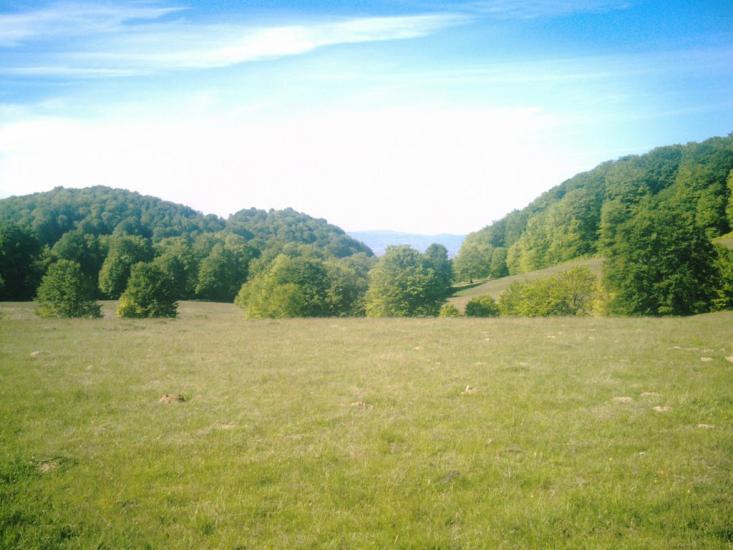 Яблунівка з panoramio.com - Яблоновка