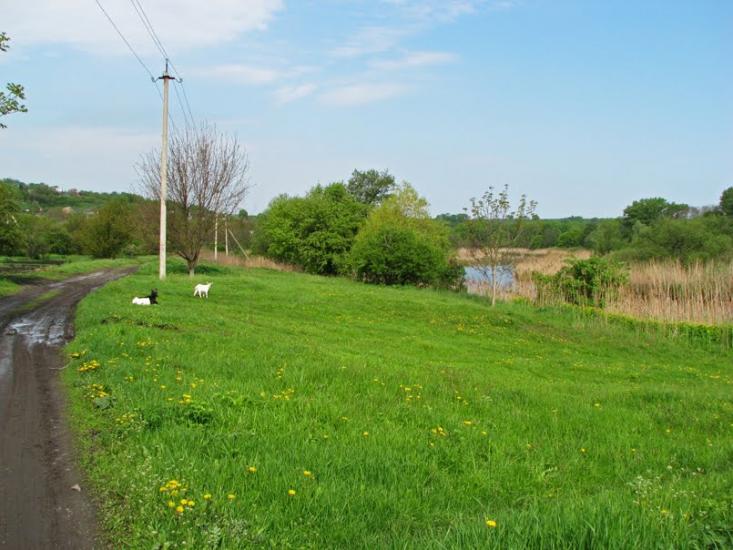 Литвинівка з panoramio.com - Литвиновка