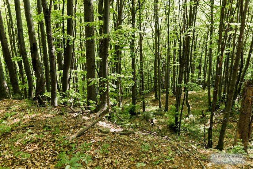 Манява з panoramio.com - Манява