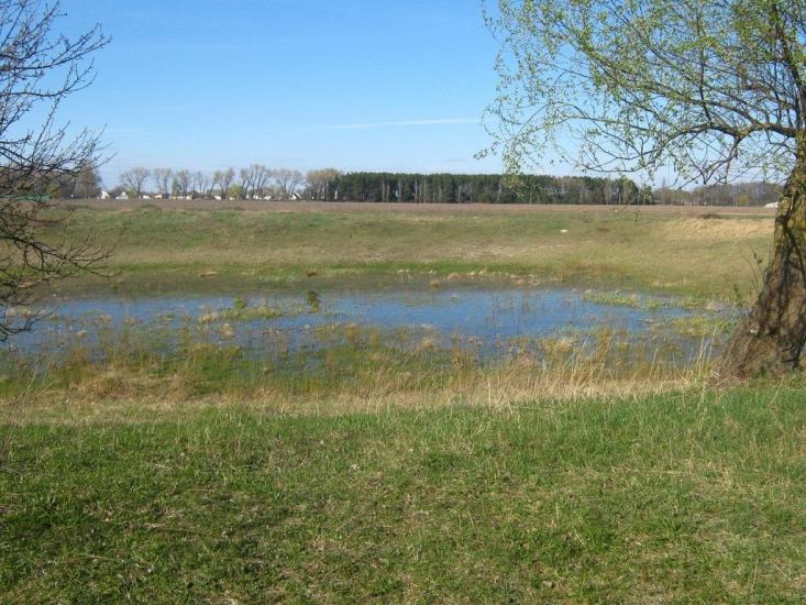 Велика Димерка з panoramio.com - Велика Димерка