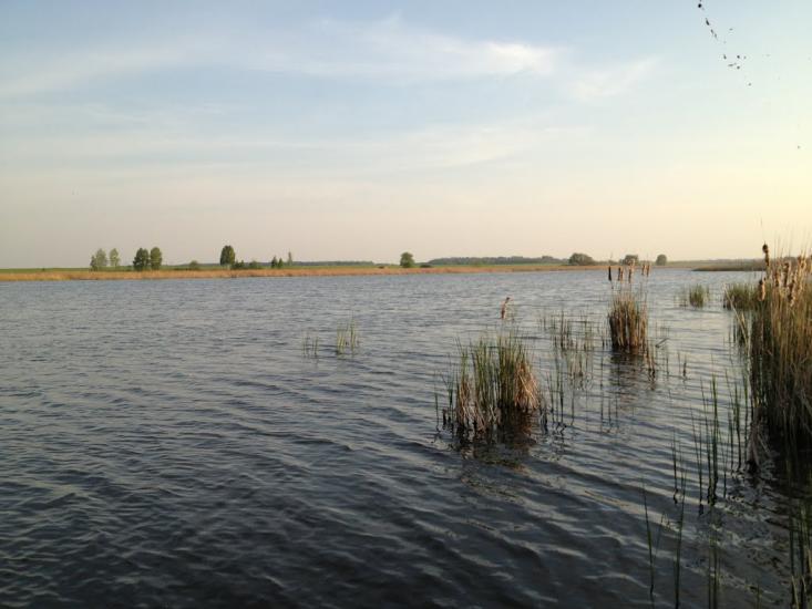 Товкачівка з panoramio.com - Товкачівка