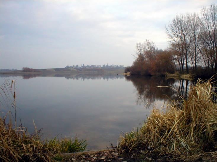 Рогізне з panoramio.com - Рогозное