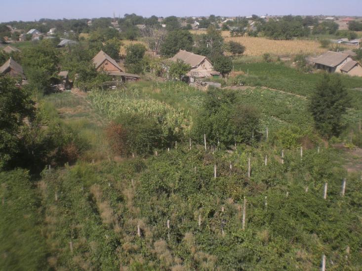 Комишівка з panoramio.com - Камышовка