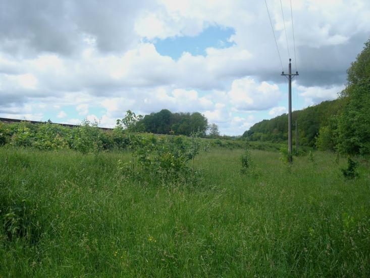 Жищинці з panoramio.com - Жищинці