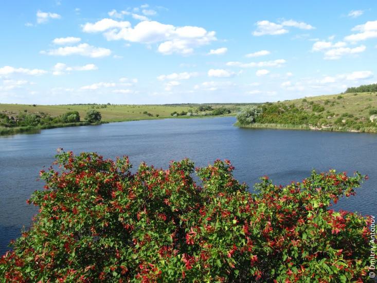 Розанівка з panoramio.com - Розановка