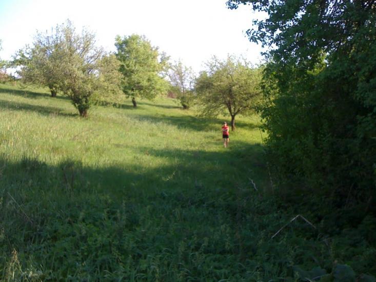 Новоархангельськ з panoramio.com - Novoarkhangelsk