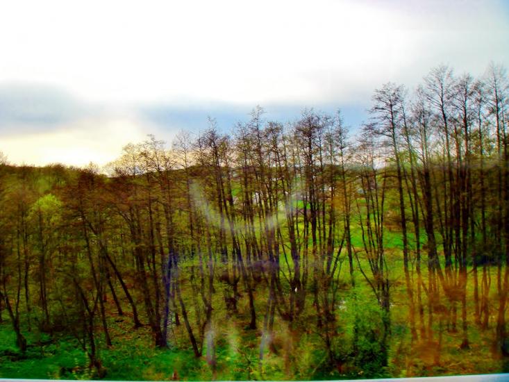 Шкарівка з panoramio.com - Шкаровка