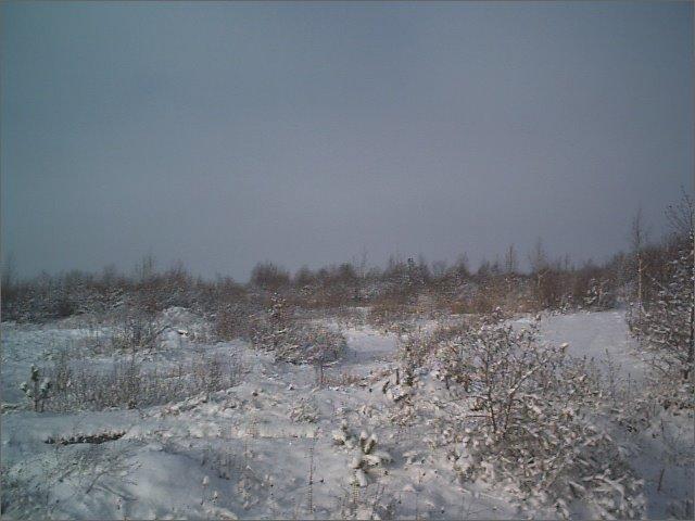 Любомль з panoramio.com - Любомль