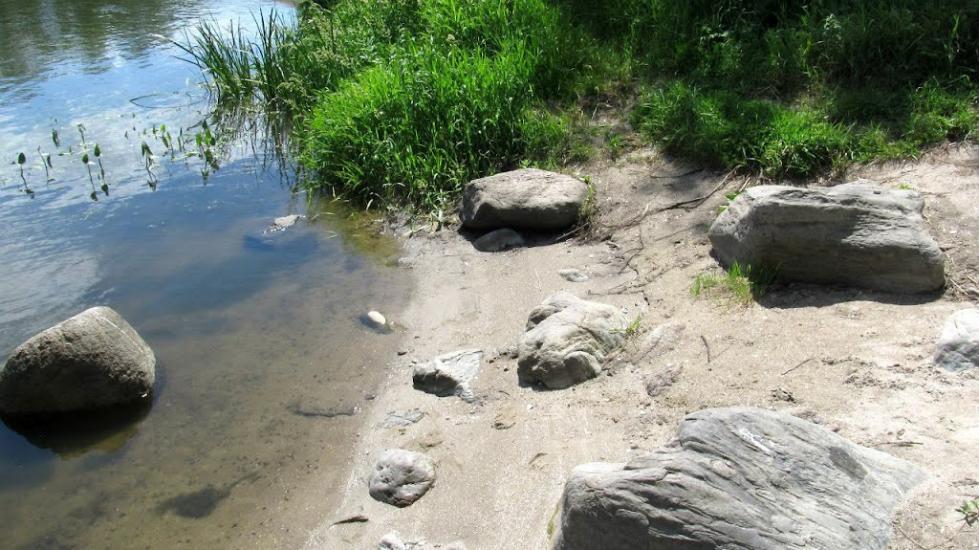 Куріпчине з panoramio.com - Kuripchyne