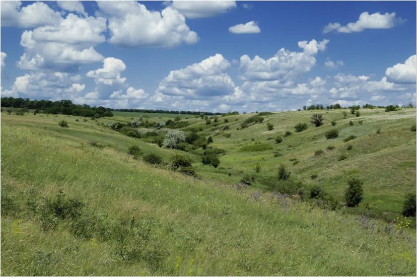 Недайвода з panoramio.com - Недайвода