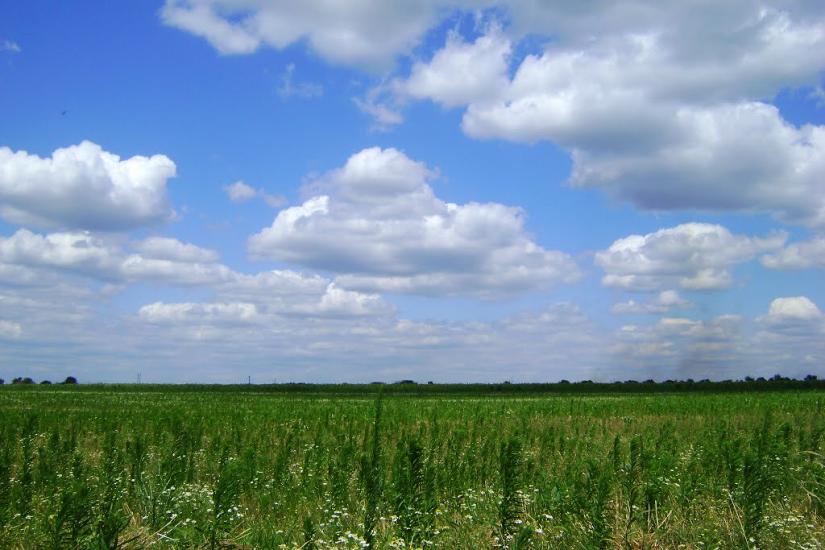 Великий Дальник з panoramio.com - Velykyy Dalnyk