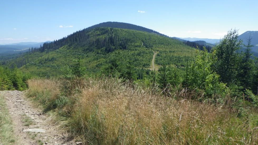 Вишків з panoramio.com - Вышков