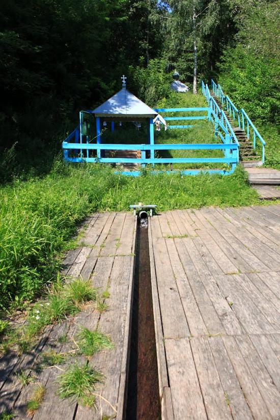 Сорокопень з panoramio.com - Сорокопень