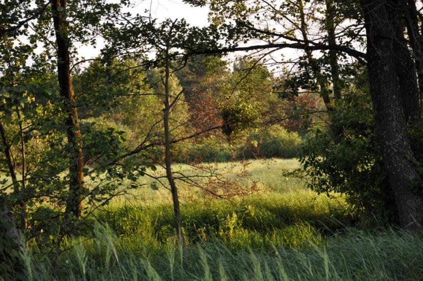 Рудня-Шпилівська з panoramio.com - Рудня-Шпилевская
