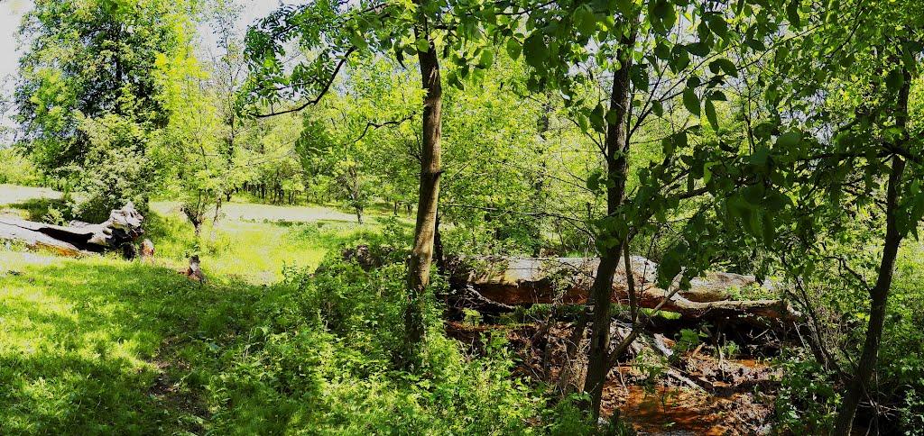 Олександрівське з panoramio.com - Александровское