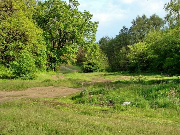 Ясенівський з panoramio.com - Ясеновский