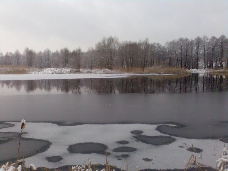 Радивилів з panoramio.com - Радивилов
