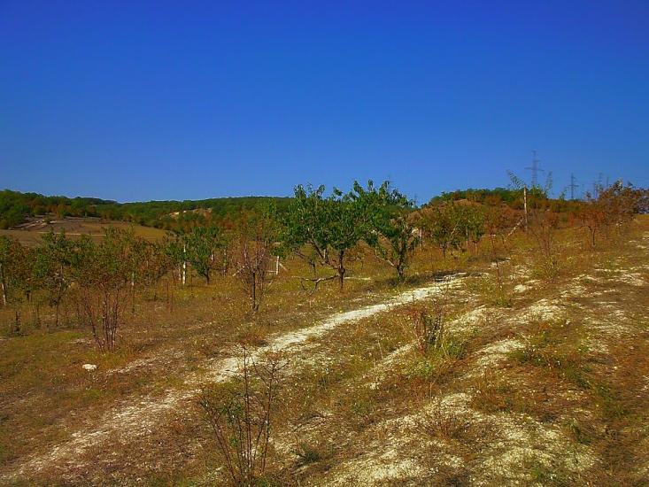 Холмівка з panoramio.com - Холмовка