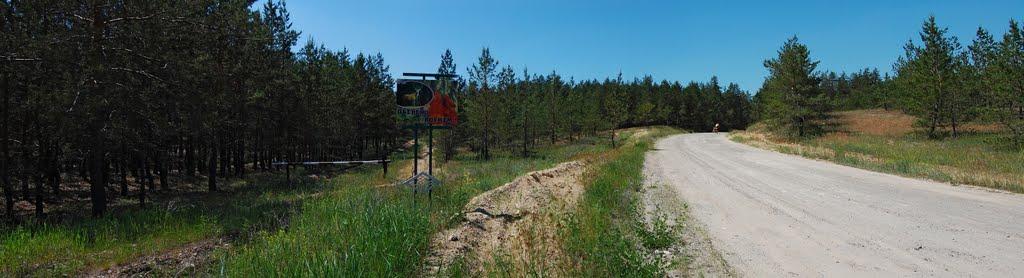 Рудневе з panoramio.com - Руднево