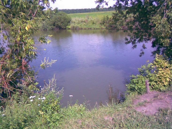 Раціборівка з panoramio.com - Рациборовка