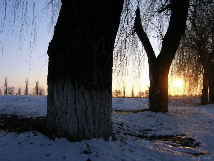 Садове з panoramio.com - Садовое