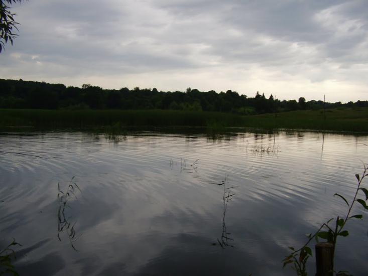 Іванківці з panoramio.com - Ivankivtsi