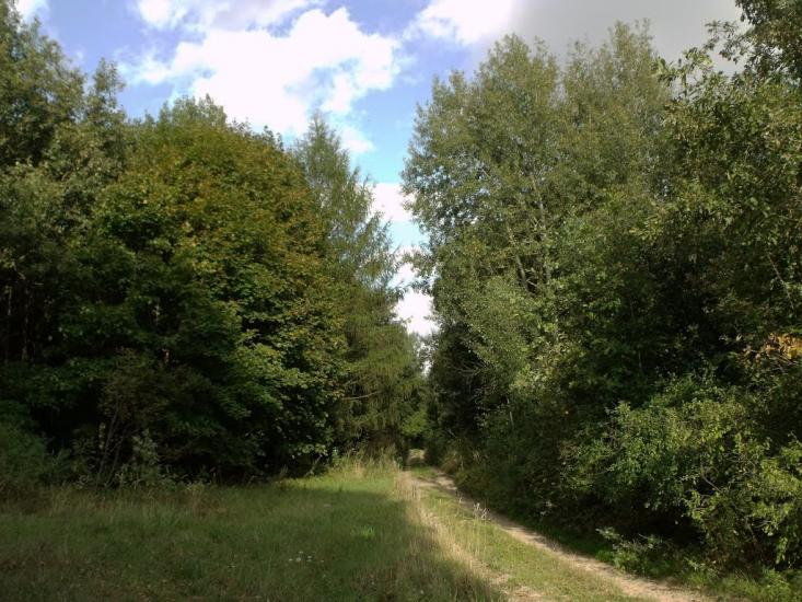 Хотин з panoramio.com - Хотин