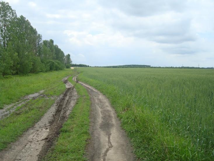 Стуфчинці з panoramio.com - Stufchyntsi